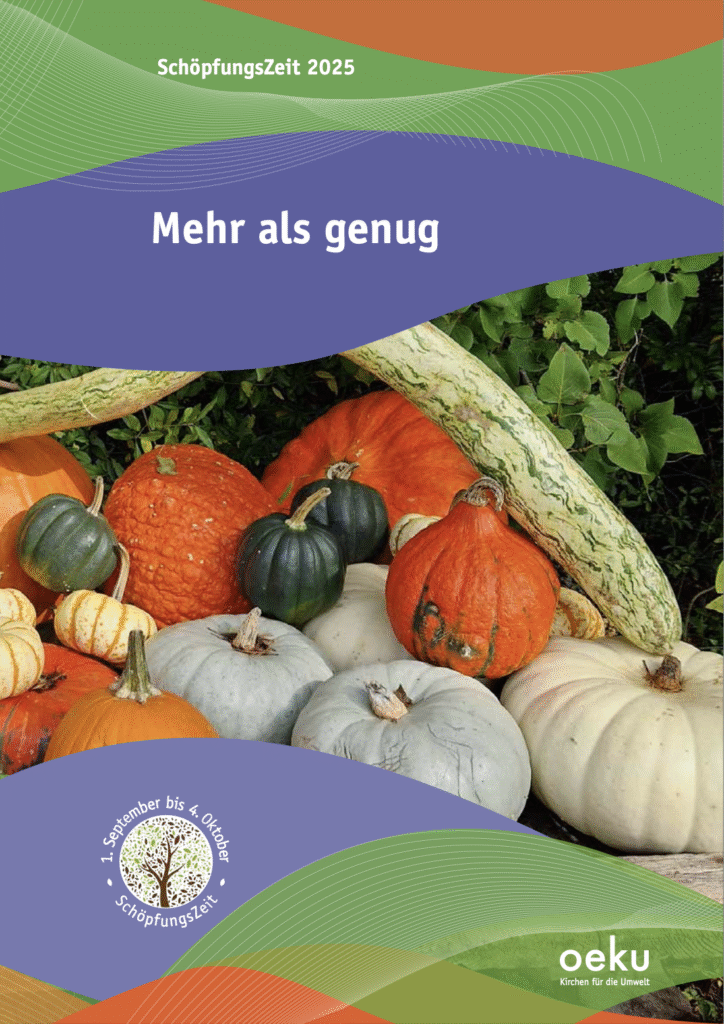 Vorderseite_dt_SZ25