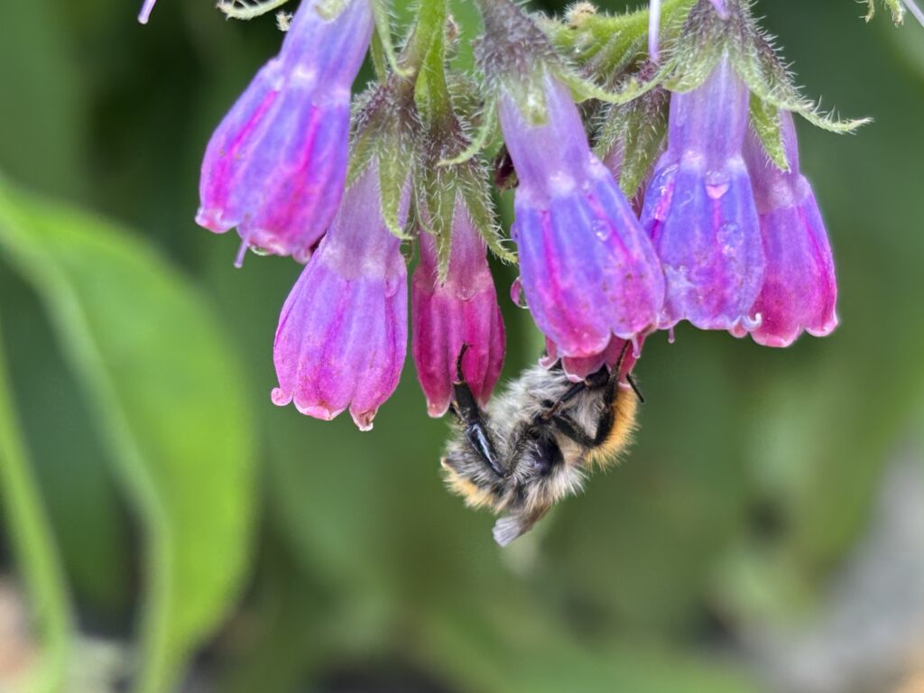 OekoSpiritualitaet_04