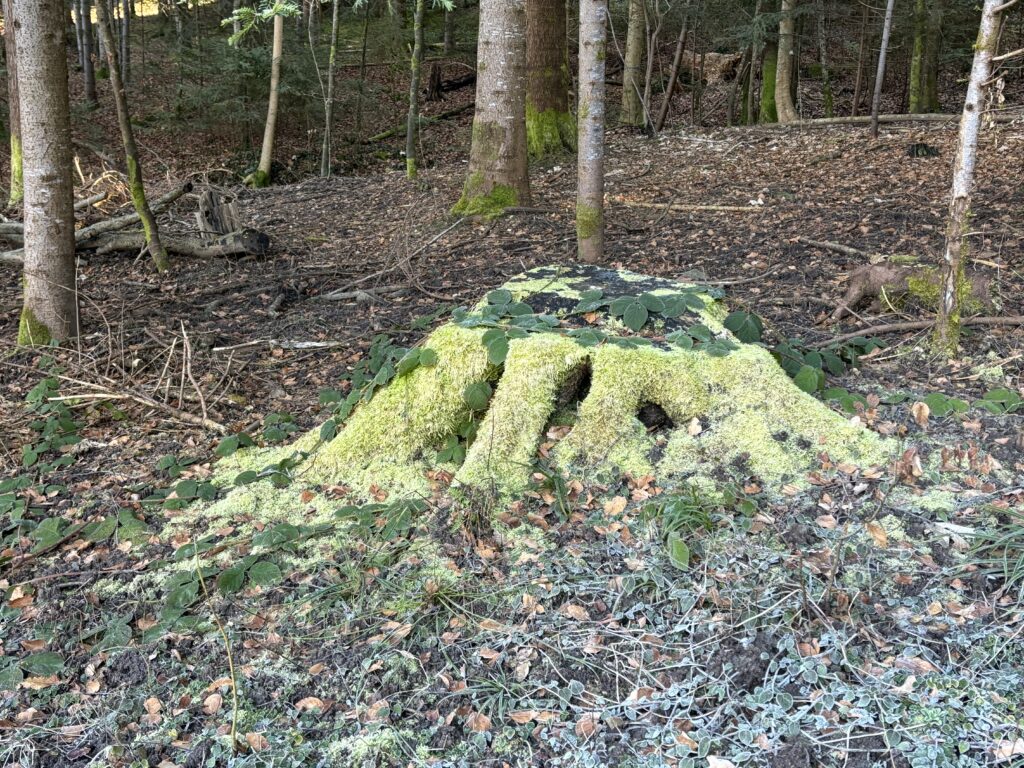 OekoSpiritualitaet_08